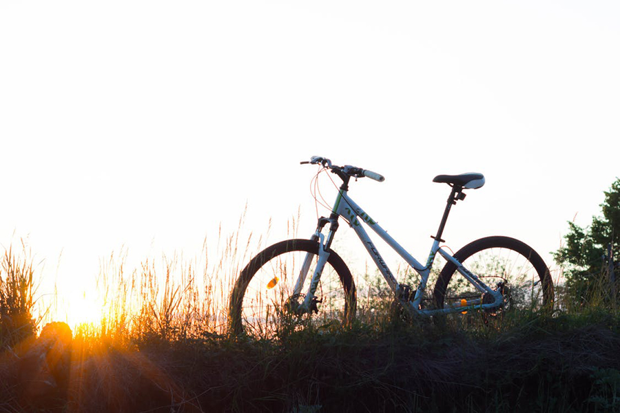 Women's Sarasen Mountain Bike Women's Saracen Mountain Bike